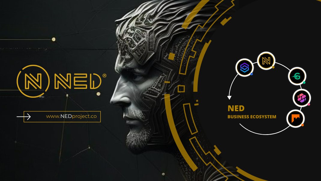 Криптопроект NED Token: инвесторы остались без денег, полиция расследует мошенничество